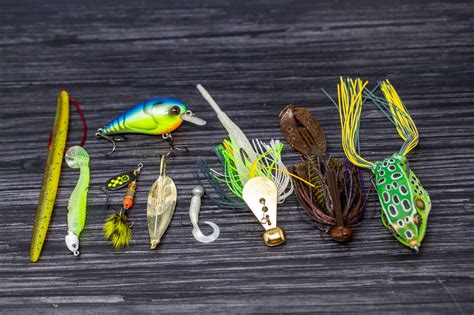 May 20, 2023 · 5. Rapala Fat Rap Bass Lure. Buy from Amazon. Shop Bass Pro Shops. The Fat Rap size 05 crankbait is a 2-inch lure with a deep diving lip. The three common colors for this lure are perch, silver, and firefighter. 